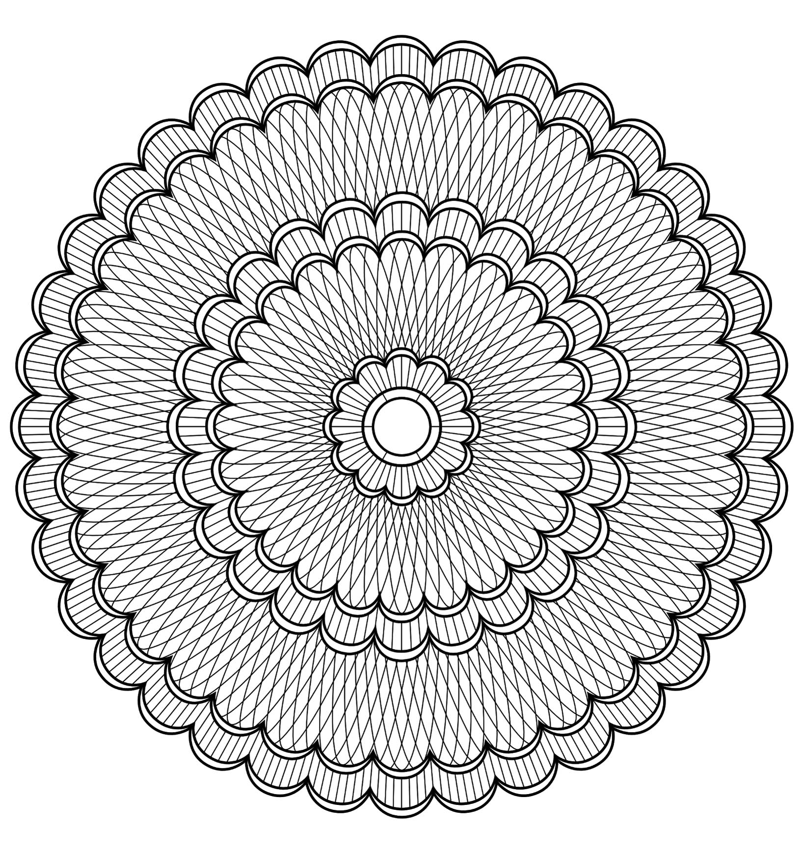 Très joli mandala à colorier où figure plusieurs fleurs très jolies. Niveau normal.